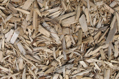 biomass boilers Grindiscol
